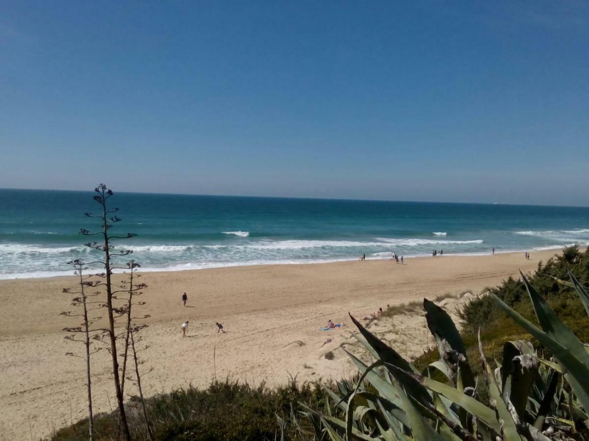 Vila Casa "El Pinar" Chiclana de la Frontera Exteriér fotografie